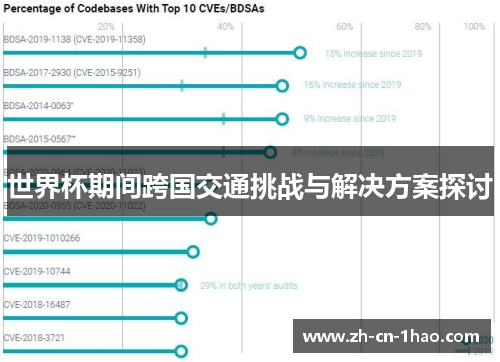 世界杯期间跨国交通挑战与解决方案探讨