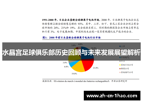 水晶宫足球俱乐部历史回顾与未来发展展望解析