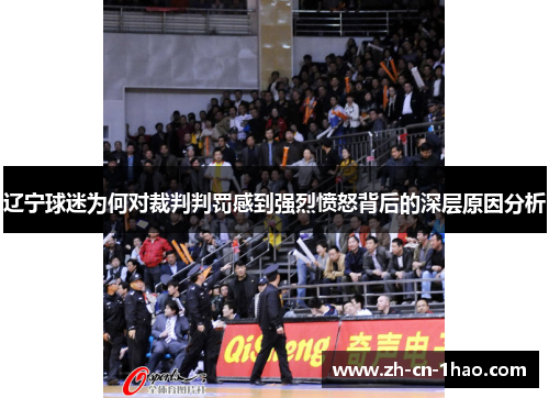 辽宁球迷为何对裁判判罚感到强烈愤怒背后的深层原因分析